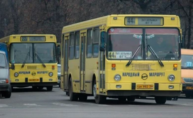 В воронежском бюджете нашлись деньги на народные маршруты