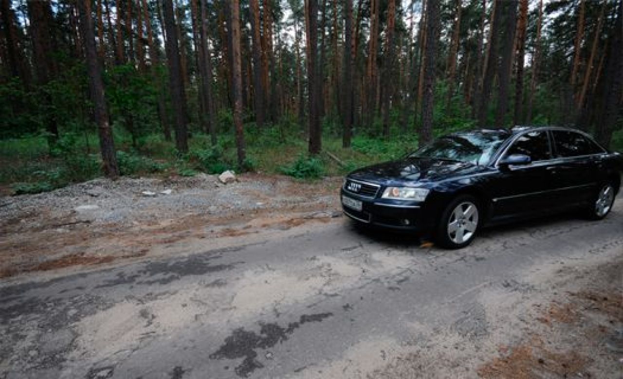 МЧС: воронежцы могут отдыхать в лесу