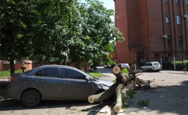Сегодня в Воронеже ожидаются грозы с сильным ветром