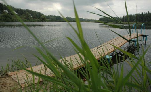 На юге Воронежской области в реке утонула 5-летняя девочка