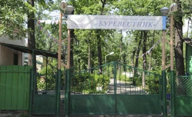 В воронежском детском лагере 13-летнюю девочку избили подруги
