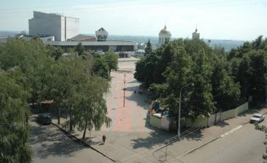 В Воронеже и области повысят штрафы за повреждение зеленых насаждений