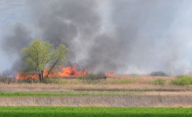 МЧС прогнозирует на юге Воронежской области природные пожары