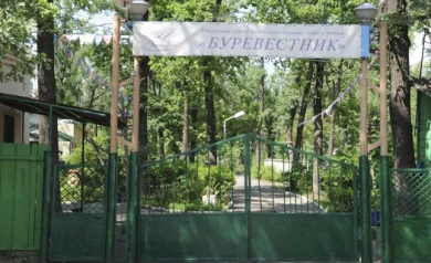 В лагере «Буревестник» после побега избитой девочки уволили воспитательницу