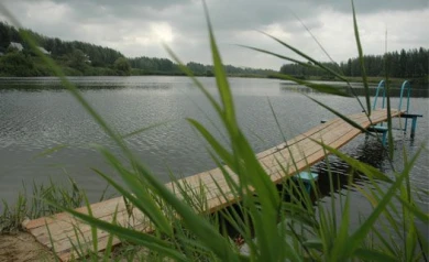 Под Воронежем женщина утонула в реке, спасая 7-летнего сына