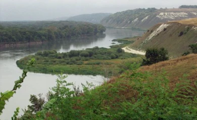 В Воронежской области власти продадут за 20 рублей два участка у реки Дон