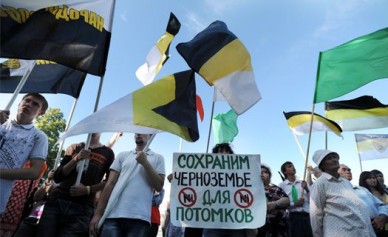  В Воронеже очередной антиникелевый митинг собрал 200 человек