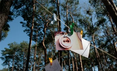 В Воронеже уличную выставку фотографий атаковали «хулиганки»