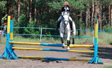 Воронежская спортсменка поедет на чемпионат России по конкуру