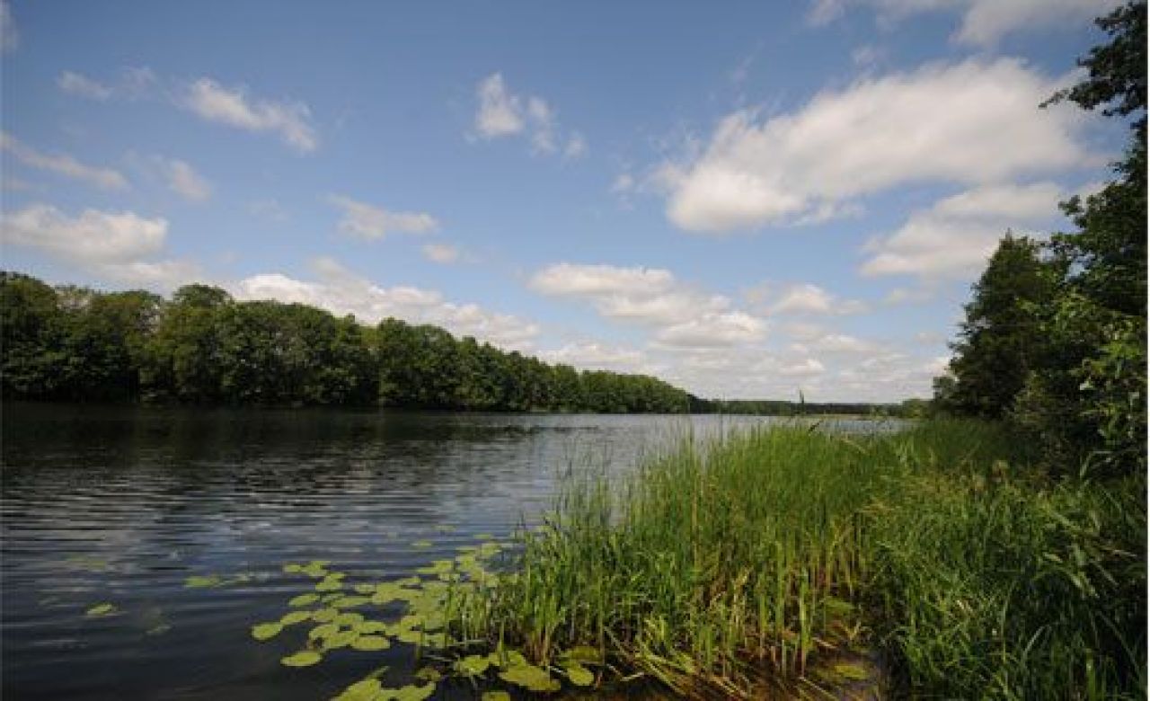 В Воронежской области за день обнаружили двух утопленников