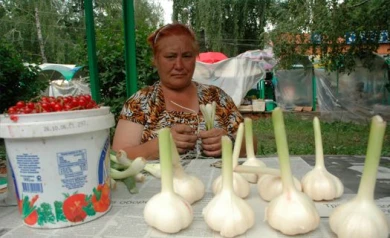 Для воронежских дачников выделили специальные места на городских рынках