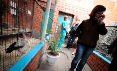 В третьем воронежском парке появился бесплатный Wi-Fi