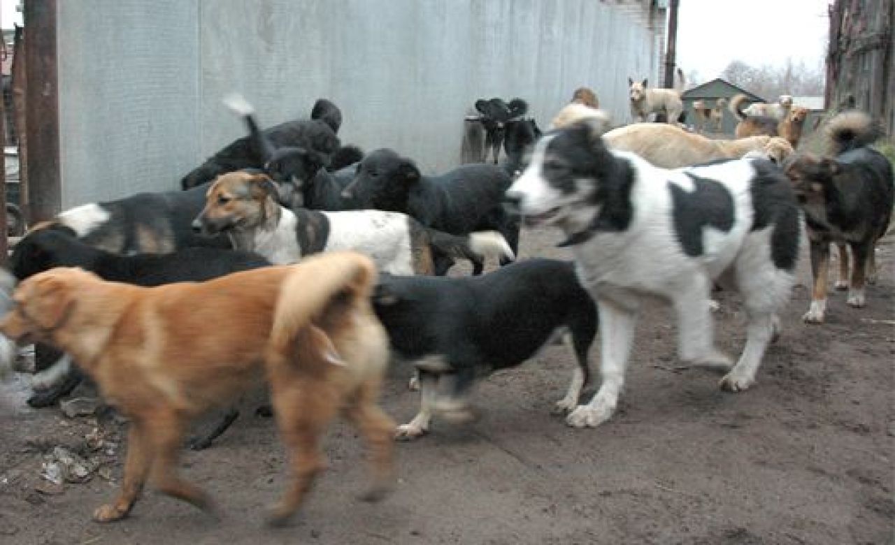 фото из архива "МОЁ!"