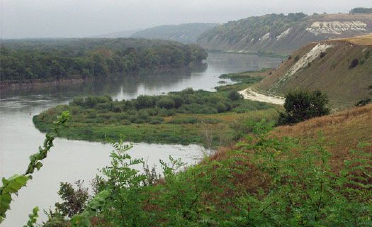 За два месяца число утонувших в Воронежской области превысило полсотни