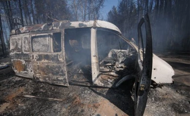 К новому году в Воронежской области расчистят 8,5 тысяч га горельников