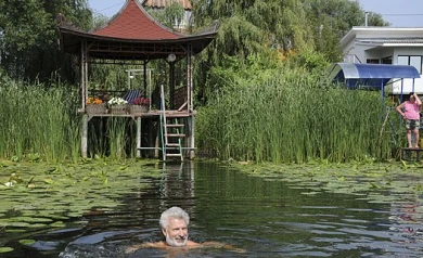 Воронежский дачник построил возле дома культовое китайское сооружение