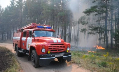 Синоптики: аномальная жара простоит в Воронеже до 5 августа