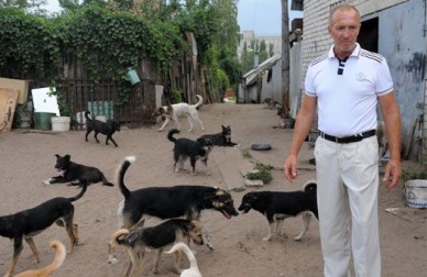 Зоозащитники: «Убийц собак в Воронеже будут искать полицейские»