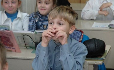 В Воронеже 1 сентября в школу пойдут более 80 000 ребят