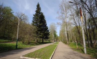 В Воронеже парк «Динамо» может стать горнолыжным комплексом