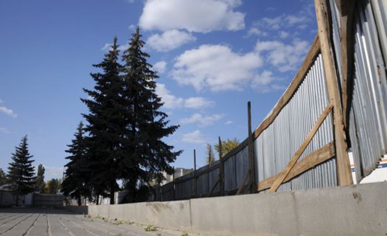 Кто и зачем спилил голубые ели на улице Димитрова?