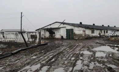 Группа воронежских предпринимателей подозревается в хищении 47 млн. бюджетных рублей