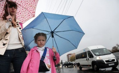 В Воронеже 9-летнюю девочку зажало дверью маршрутки