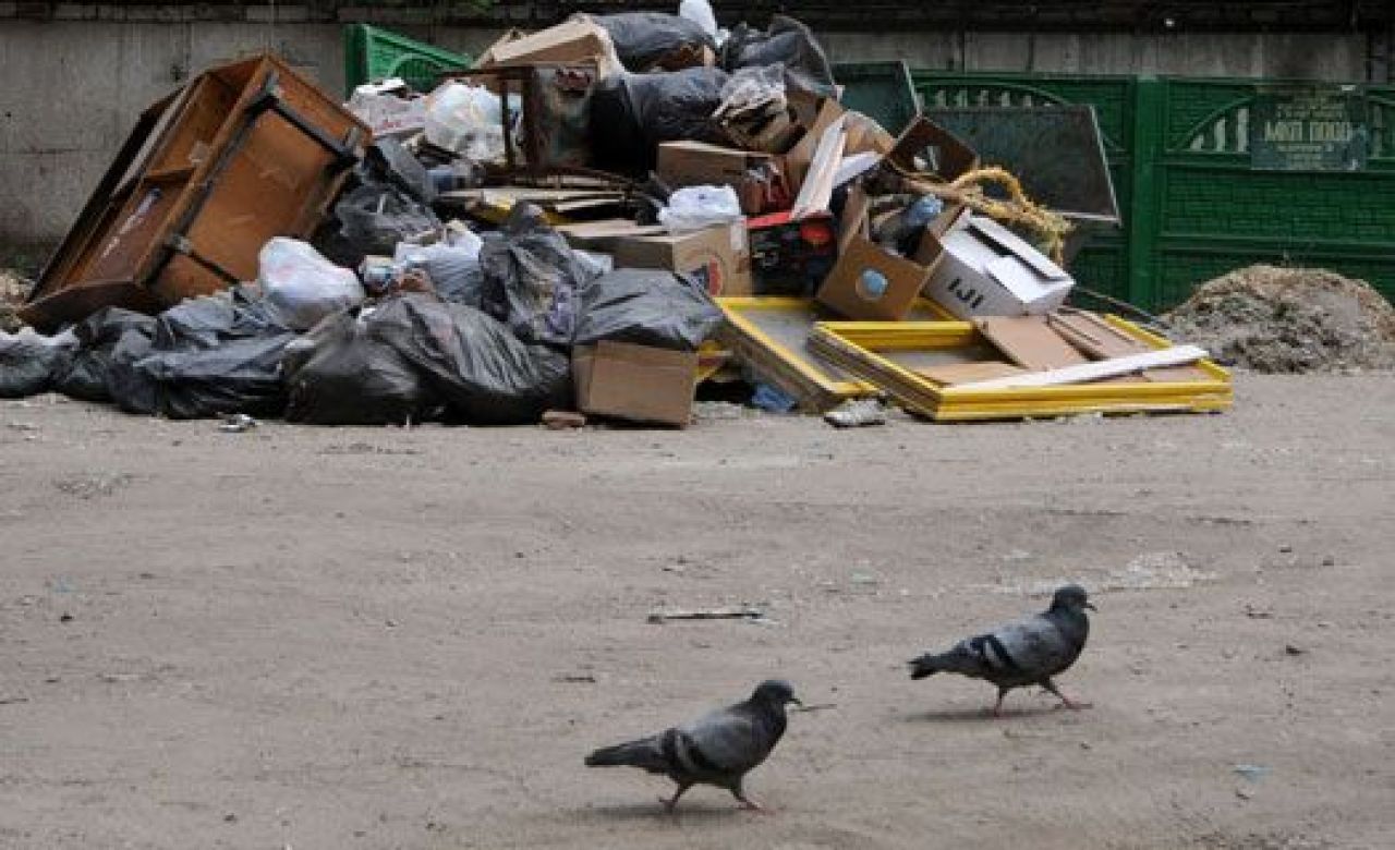 В Воронежской области врачи выкинули на свалку неродившегося ребёнка