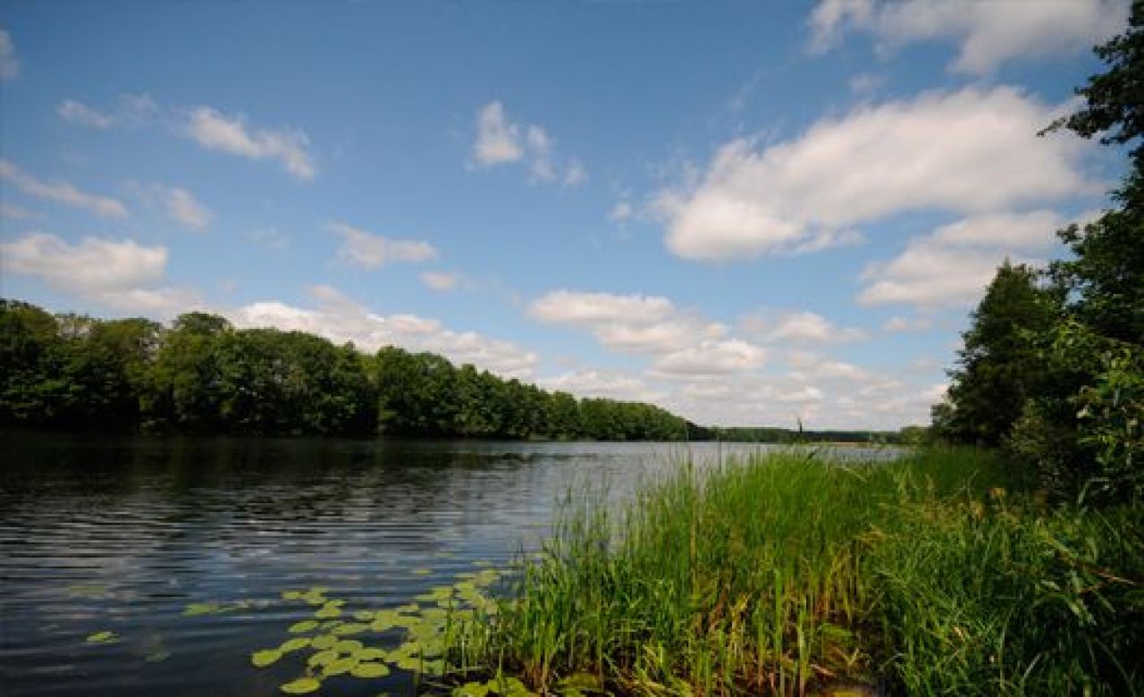 Департамент природных ресурсов передумал сдавать в аренду участок реки Хопёр