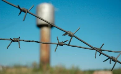 На сотрудника воронежской колонии завели дело за передачу телефона заключенному