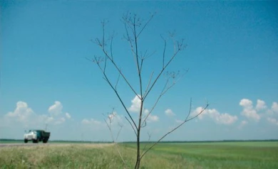 Главу посёлка подозревают в мошенничестве на 200 тысяч рублей