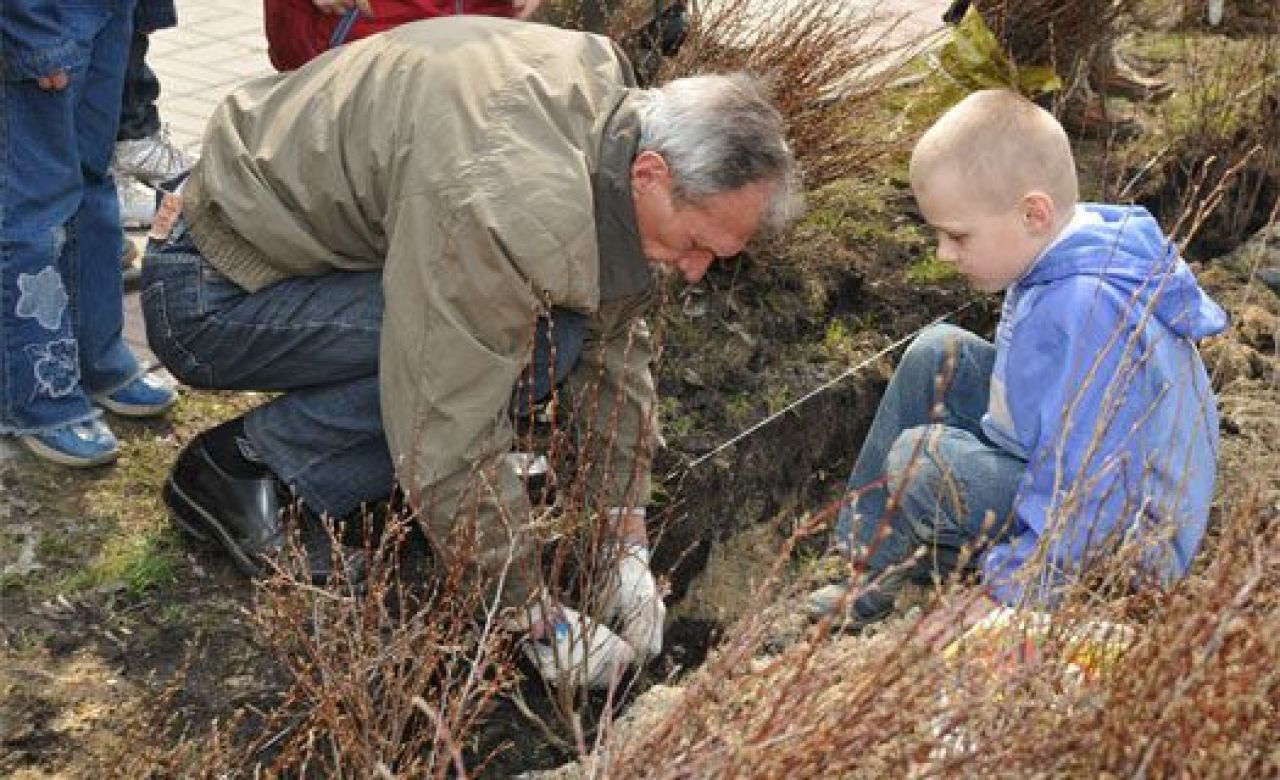 Чиновники просят воронежцев сообщить о заброшенных парках