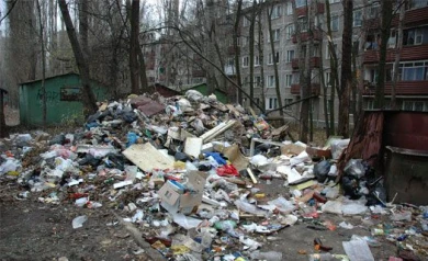 В Воронеже чиновников за неубранную мусорку оштрафуют на 200 тысяч рублей