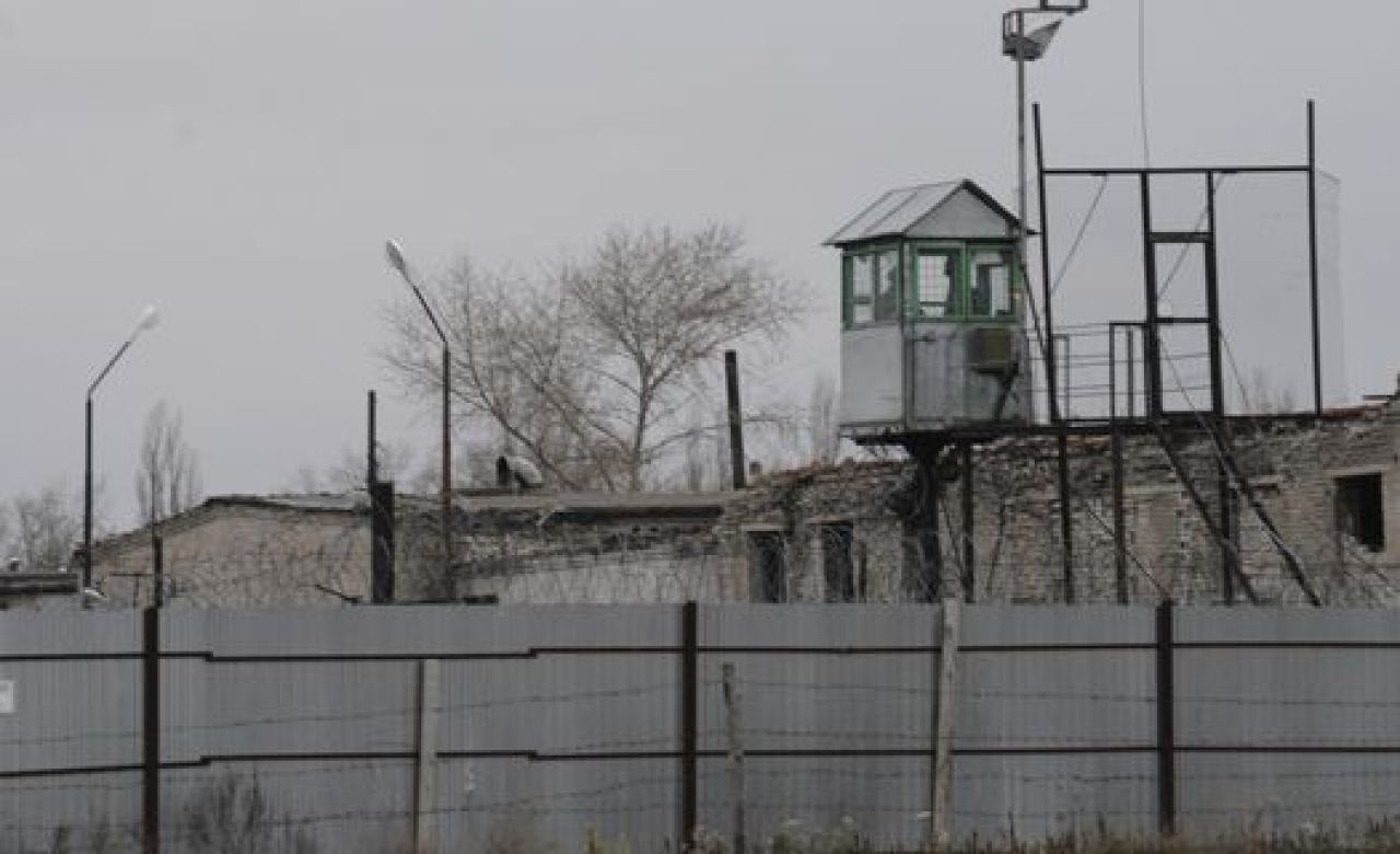 Колония в Кривоборье