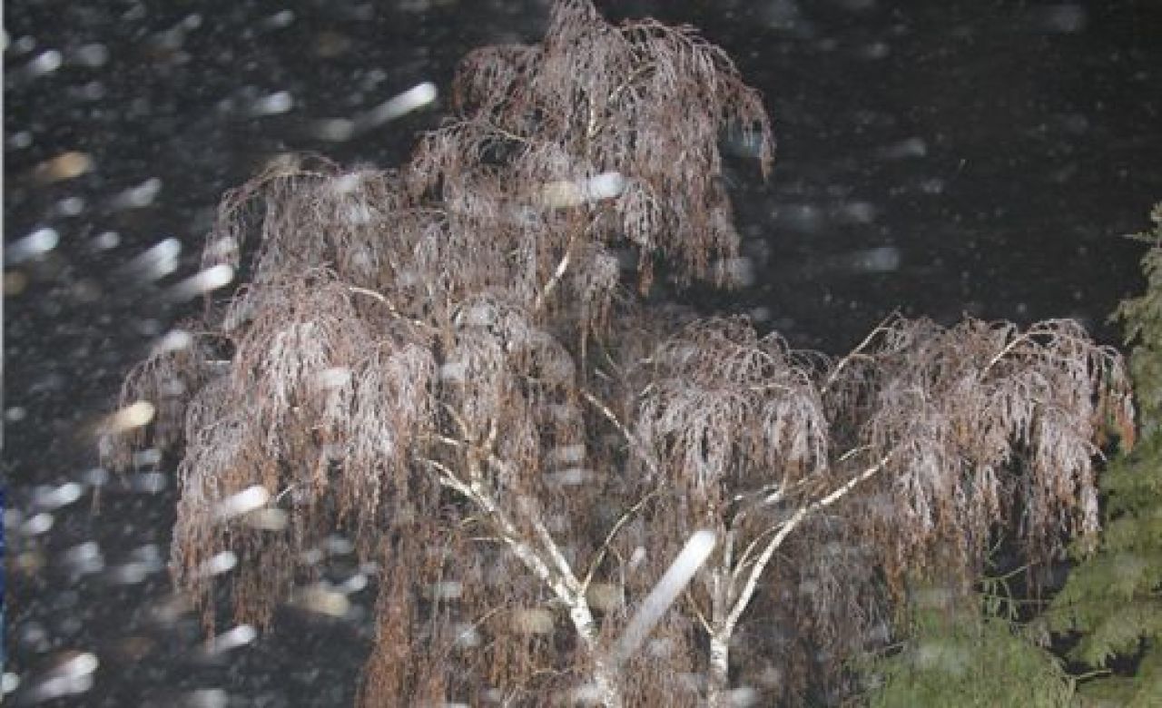МЧС: в Воронеже ожидаются метели со штормовым ветром