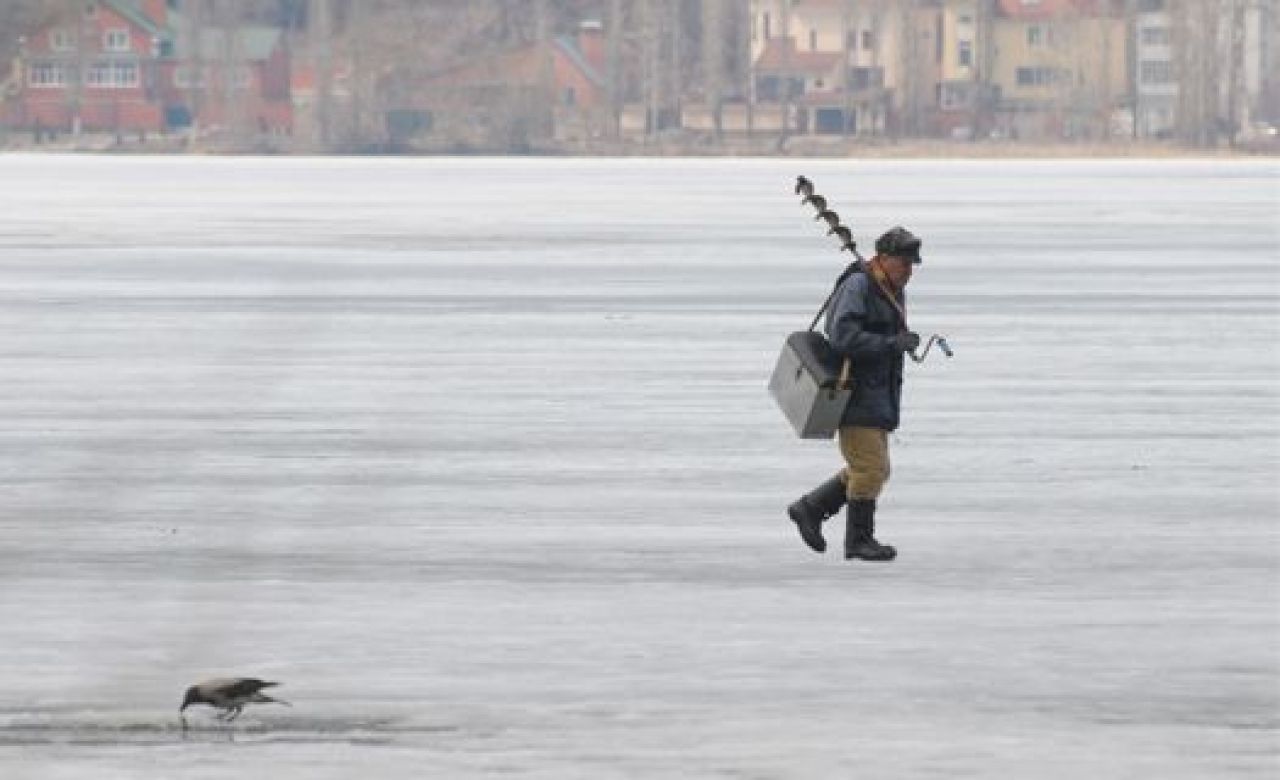 фото из архива "МОЁ!"