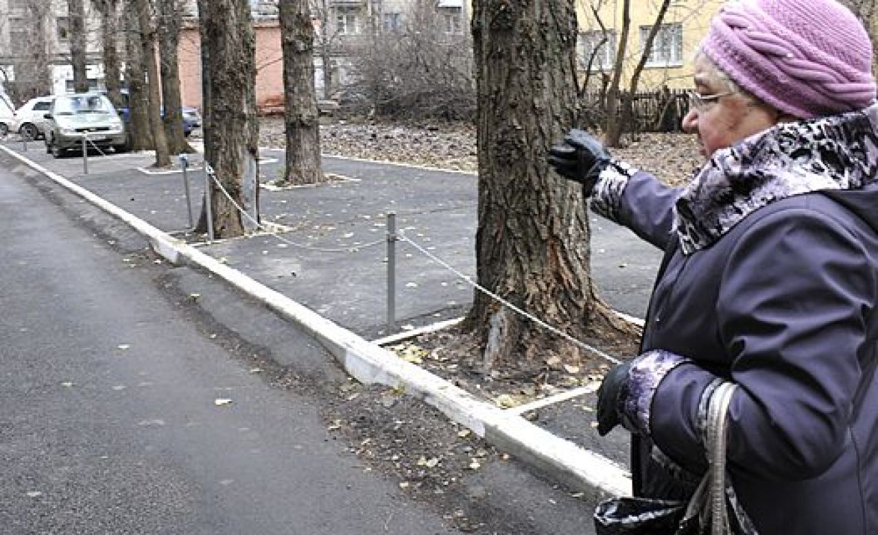 двор дома №12 по ул. Куцыгина