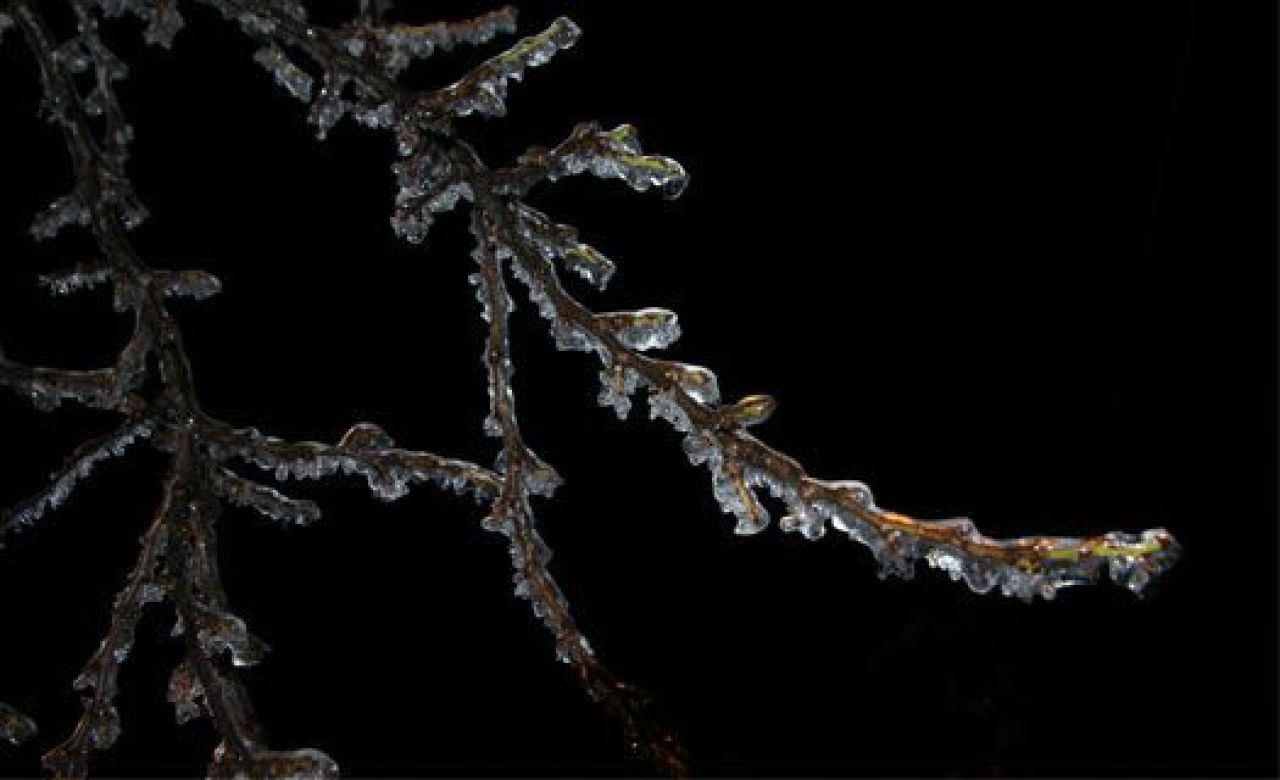 Спасатели объявили в Воронежской области штормовое предупреждение из-за мороза