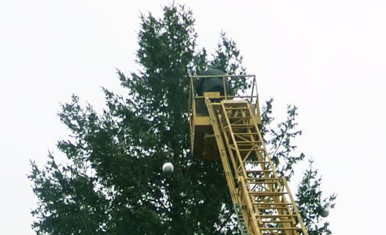 Процесс украшения ёлки оказался делом непростым