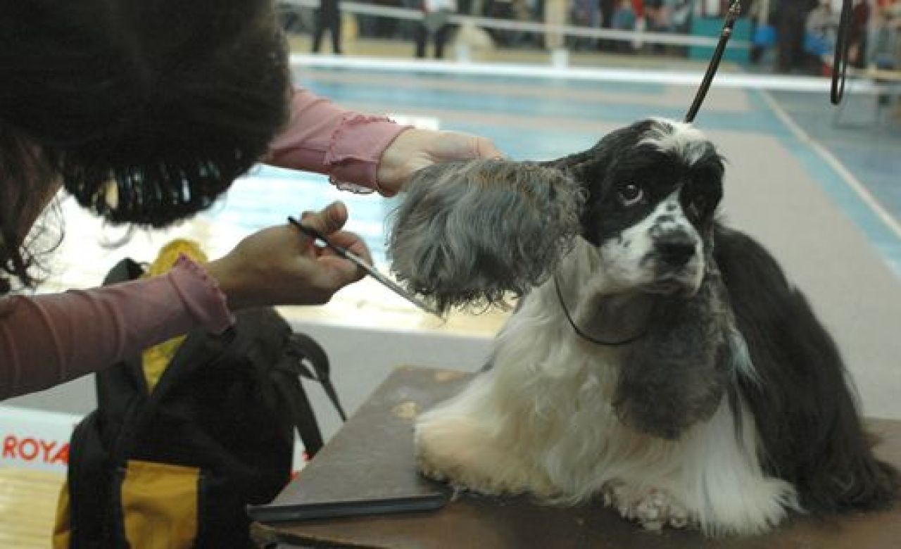 фото из архива "МОЁ!"