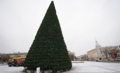 Стиль главной воронежской ёлки разработали столичные дизайнеры