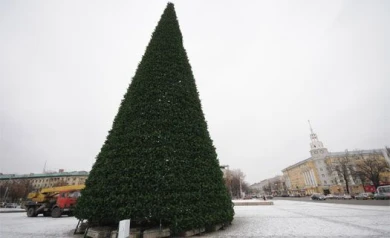 Стиль главной воронежской ёлки разработали столичные дизайнеры