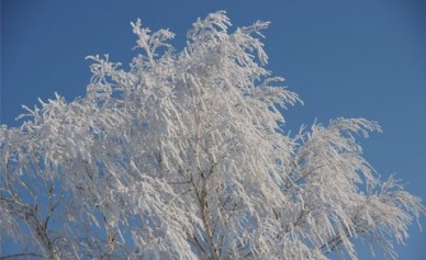 В конце недели в Воронеже ожидается снег