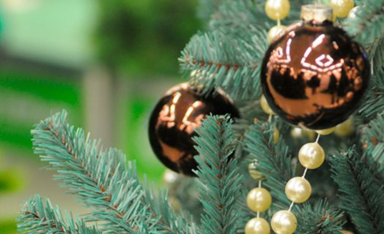 В центре Воронежа двое приятелей пытались украсть ёлку возле ресторана