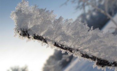 Синоптики: сильный снегопад в Воронеже ожидается только во вторник