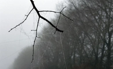 Врачи бьют тревогу: в Воронеже за сутки потеплеет почти на 20 градусов