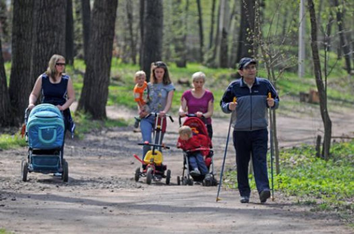 Воронеж получил международную экологическую премию за реконструкцию парков