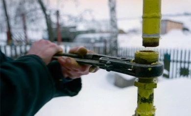 Воронежские многодетные мамы смогут потратить региональный маткапитал на газификацию