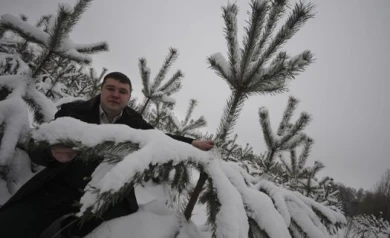 Воронежские депутаты предлагают создать дружины охраны леса