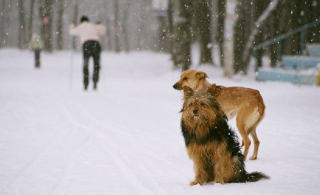 фото из архива "МОЁ!"